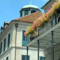 Check In and Check Out Chartres Street