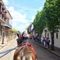 Five Things to Do This Spring in New Orleans