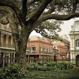 It’s June in NOLA and our calendar is heating up